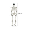 170cm Giant Full Life Size Human Skeleton Model Horror Bone Posable Halloween
