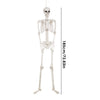 Full Life Size Human Skeleton Halloween Prop Poseable Halloween Party Decoration