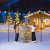 Indoor Outdoor Hanging Lighting Decoration String Light / Festoon Pole