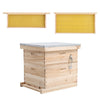 Langstroth/UK Beehive Box Wooden Bee Hive Frames Beekeeping Honey Brood Box Kit