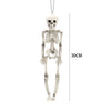 Full Life Size Human Skeleton Halloween Prop Poseable Halloween Party Decoration