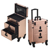 Rolling 4 in 1 Makeup Trolley Beauty Trolley Case w/Drawers Hairdressing Case