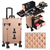 Rolling 4 in 1 Makeup Trolley Beauty Trolley Case w/Drawers Hairdressing Case