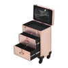 Rolling 4 in 1 Makeup Trolley Beauty Trolley Case w/Drawers Hairdressing Case