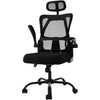 Flamaker Office Desk Chair Ergonomic Computer Chair with Lumbar Support Black