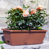 Galvanised Raised Bed Garden Outdoor Elevated Planter Box, Oval/L Shape/Ladder