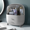 XLarge Cosmetic Skincare Organiser Tabletop Make-Up Storage Case 2 Drawers Box
