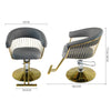 Salon Barber Chair Luxury Hydraulic Reclining Hairdressing Shaving Beauty
