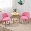 Set of 2 Accent Tub Chairs Occasional Lounge Sofa Chair for Living Room Bedroom