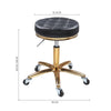 Classic Adjustable Hydraulic Barber Chair Hairdressing Salon 360° Swivel Chair