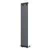 Black Designer Radiator Vertical Horizontal Oval Column Central Heating Rads