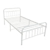 Simple Budget metal bed Single bed Frame w/Mattresses Option Bedroom Furniture