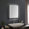 Fog-free Bathroom LED Makeup Shaver Mirror Cabinet with Dimmable 3-Colour Lights