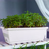 5 x Trough Plant Pot Long Plastic Planter Outdoor Garden Window Herb Flower Box