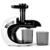 COSVALVE Masticating Juicer Extractor Slow Juicer Cold Press Vegetables Fruit