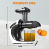 Masticating Juicer Extractor Slow Juicer Cold Press Vegetables Fruit