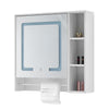 Bathroom Cabinet With LED Light Mirror Storage Unit Touch Switch 2 Shelf Hanger