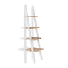 Florence Ladder Shelf Bookshelf Rack Lean up Display Storage Shelving Stand