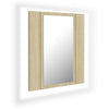 Modern LED Illuminated Bathroom Mirror Cabinet Wall Mounted with Sheft Storage