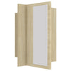 Modern LED Illuminated Bathroom Mirror Cabinet Wall Mounted with Sheft Storage