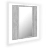 Modern LED Illuminated Bathroom Mirror Cabinet Wall Mounted with Sheft Storage