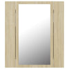 Modern LED Illuminated Bathroom Mirror Cabinet Wall Mounted with Sheft Storage