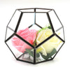 Tabletop Geometric Terrarium Glass Box Pot Plant Planter Succulent Moss Holder