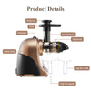 Slow Masticating Juicer Extractor Cold Press Juicer Machines Quiet Motor 2 Speed