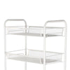 5 Tiers Metal Kitchen Trolley Cart Salon Beauty SPA Storage Shelf Rolling Wheels