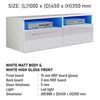 Modern 100cm TV Unit Stand Cabinet High Gloss Doors & Matt Body With Led Lights