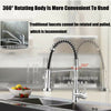 Swivel Spout Kitchen Sink Mixer Taps with Pull Out Bidet Spray Tap Chrome Brass