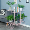 6 Tiers Garden Cart Stand & Flower Pot Plant Holder Display Rack Parisian Style