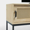 Lena Rattan TV Unit For Lounge Table Display Television Sliding Door Sideboard