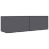 TV Cabinet TV Stand Unit Wall Mounted Floating Cupboard 2 Compartments Furniture
