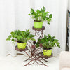 Metal Plant Stand Flower Rack Garden Planter Pot Holder Staircase Display Shelf