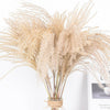 100/50 Pcs Wedding Dried Reed Bundle Pampas Grass Bouquet Flower Party Decor.