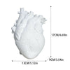 Small Anatomical Heart Vase Resin Flower Pot Table Top Ornament Gift Art Decor