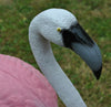 Pink Flamingo Garden Lawn Ornament Pond Outdoor Party Plastic Decoration Statue