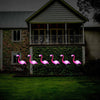Solar Powered Flamingo Lawn Lamp Outdoor Stake Landscape LED Lights Garden Decor