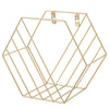 2x Metal Wire Magazine Rack Basket Wall Mounted Hexagonal Storage Display Holder