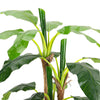 180cm Realistic Banana Tree Artificial Potted Exotic Tropical Plant Home Garden