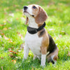 1x Anti Bark Electric Shock Dog E-Collar Stop Barking Pet Training Collar