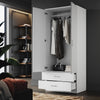 Modern Wardrobe 2 Door Storage Cabinet with Hanging Rail Matte Bedroom Furniture