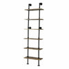 6-Tier Ladder Shelf Industrial Pipe Wall Shelf Display Rack Plant Stand Bookcase