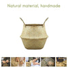 Foldable Seagrass Woven Storage Plant Flower Pot Belly Basket Laundry Hamper SA
