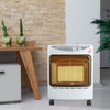 4.2KW Gas Space Heater Portable Cabinet Calor Butane Fire with Hose & Regulator