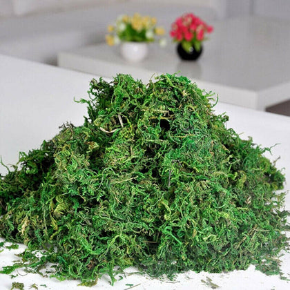 Best Artificial Reindeer Moss Dried Christmas Xmas Fake Decoration Plants Pot