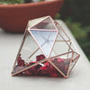 Tabletop Geometric Terrarium Glass Box Pot Plant Planter Succulent Moss Holder