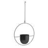 Wall Hanging Planter Flower Pot Metal Basket Bowl Decor Garden Indoor Black/Gold