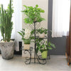 Slim Curve Shape Plant Stand Botanical Shelves 4 Square Pots Holder Room Garden